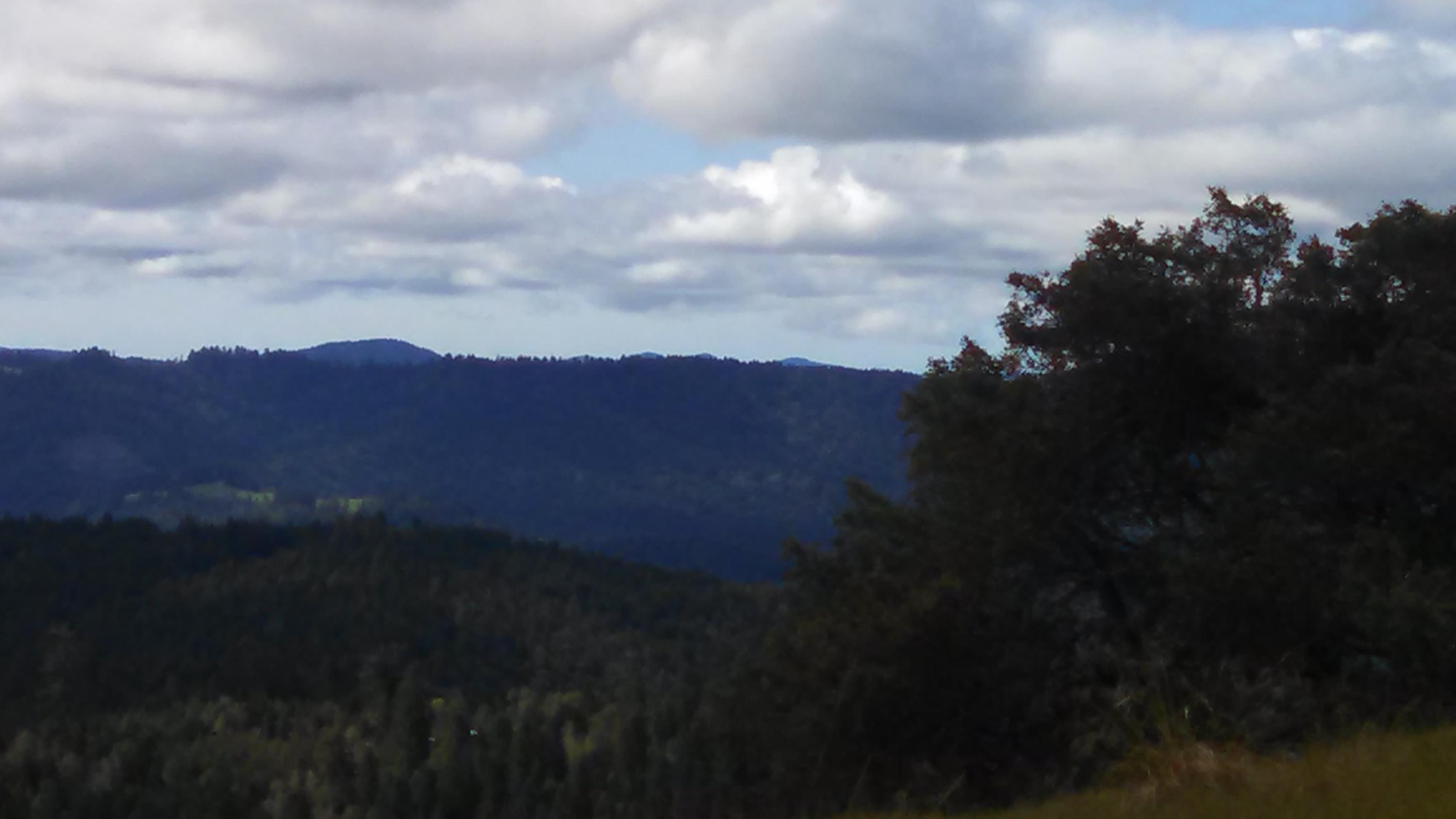 80-acres Barnum Road Myers Flat, CA 95554 - Photo 1 of 3