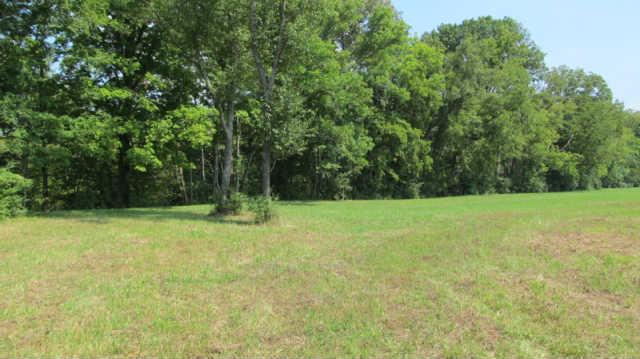 0 Southall Road Franklin, TN 37064 - Photo 1 of 9 a view of a yard with a trees