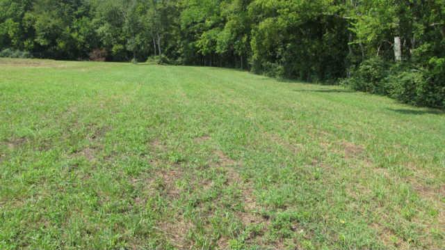 0 Southall Road Franklin, TN 37064 - Photo 2 of 9 a view of a grassy field with trees in the background