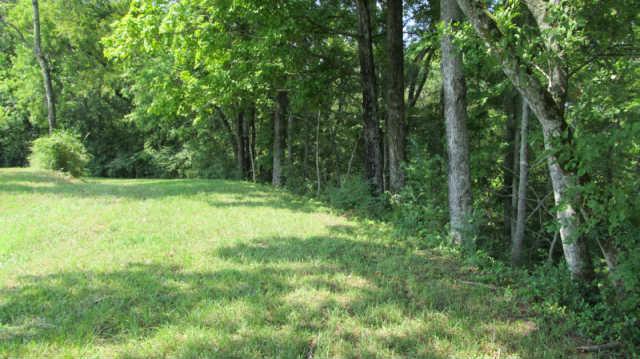 0 Southall Road Franklin, TN 37064 - Photo 4 of 9 a view of outdoor space and green space