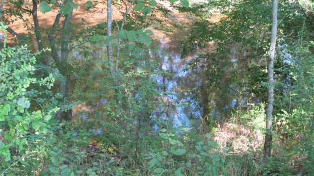 0 Southall Road Franklin, TN 37064 - Photo 5 of 9 a view of forest