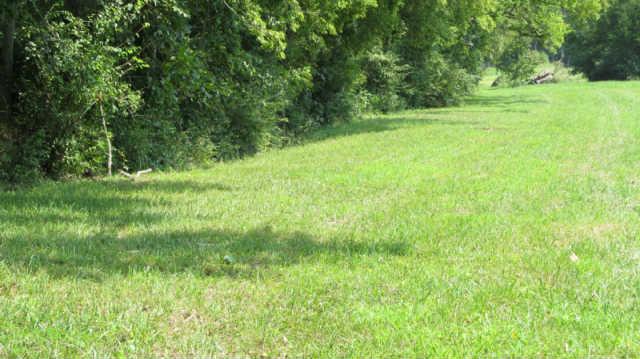 0 Southall Road Franklin, TN 37064 - Photo 8 of 9 a view of a yard with a trees