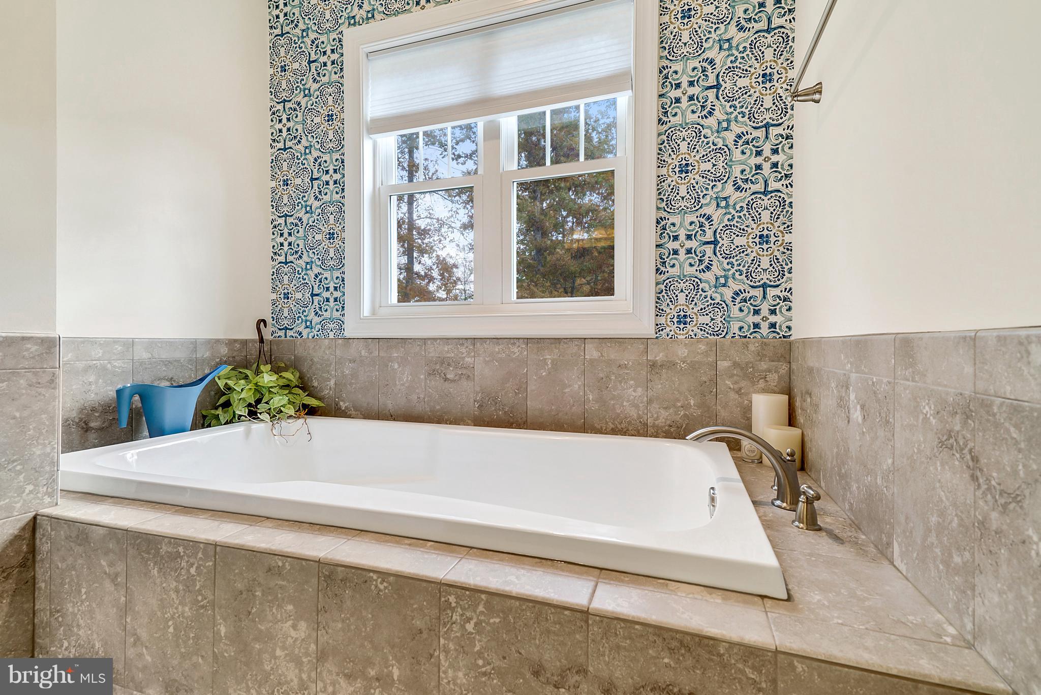 15516 Waterloo Road Amissville, VA 20106 - Photo 21 of 30 Bath (Master)