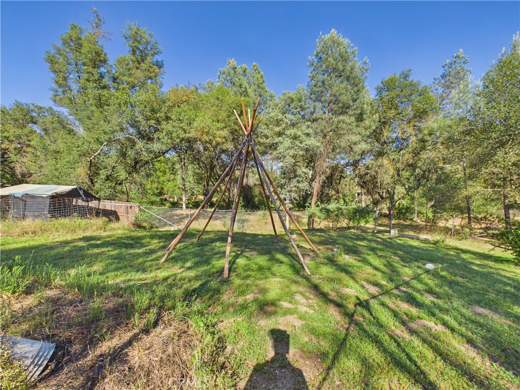4208 Ramsden Road Mariposa, CA 95338 - Photo 38 of 42 a view of a park with large trees