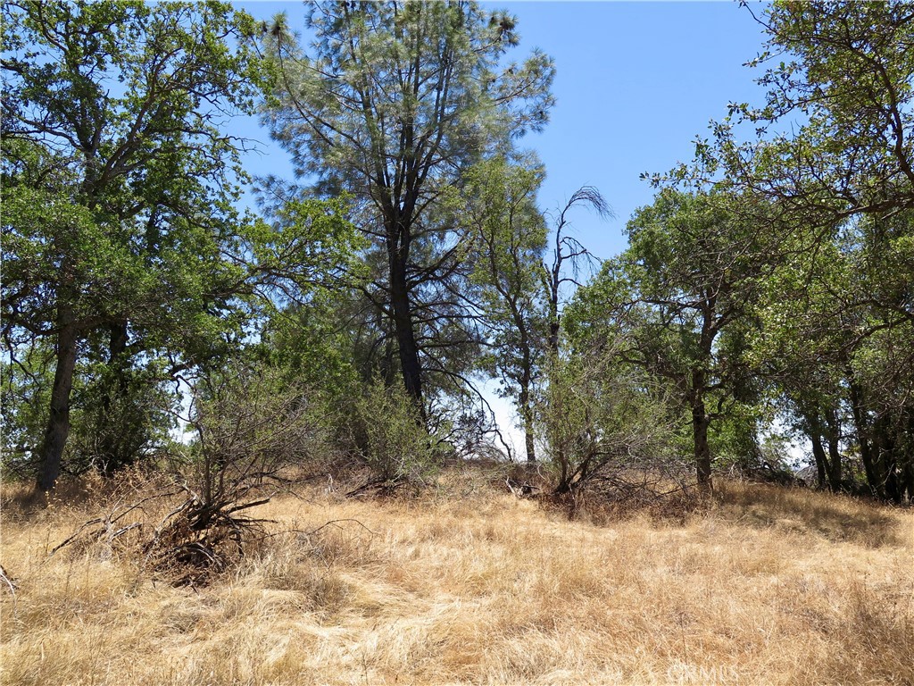 0 Ramblin Road Mariposa, CA 95338 - Photo 5 of 13