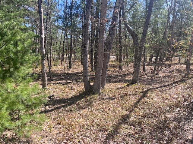 1990 Skocelas Road South Manistee, MI 49660 - Photo 51 of 54 IMG_9602