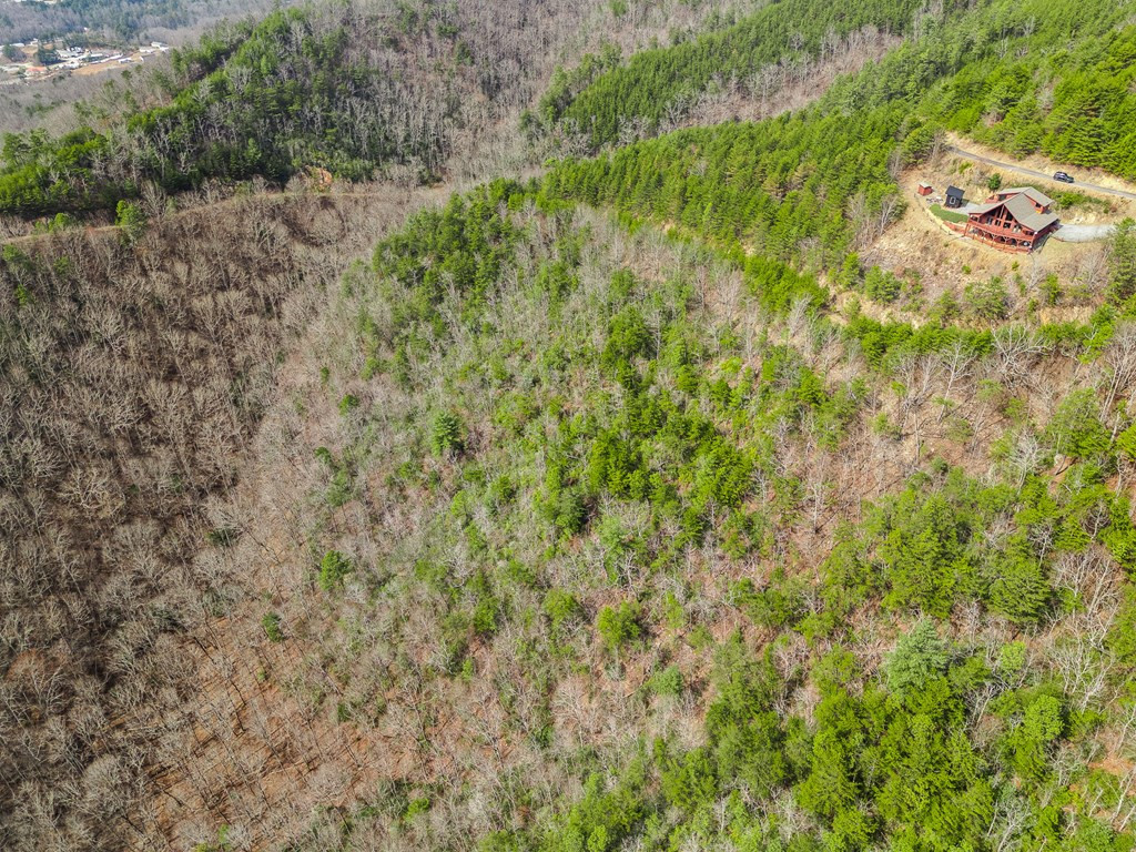 13-acres American Eagle Road Murphy, NC 28906 - Photo 3 of 17