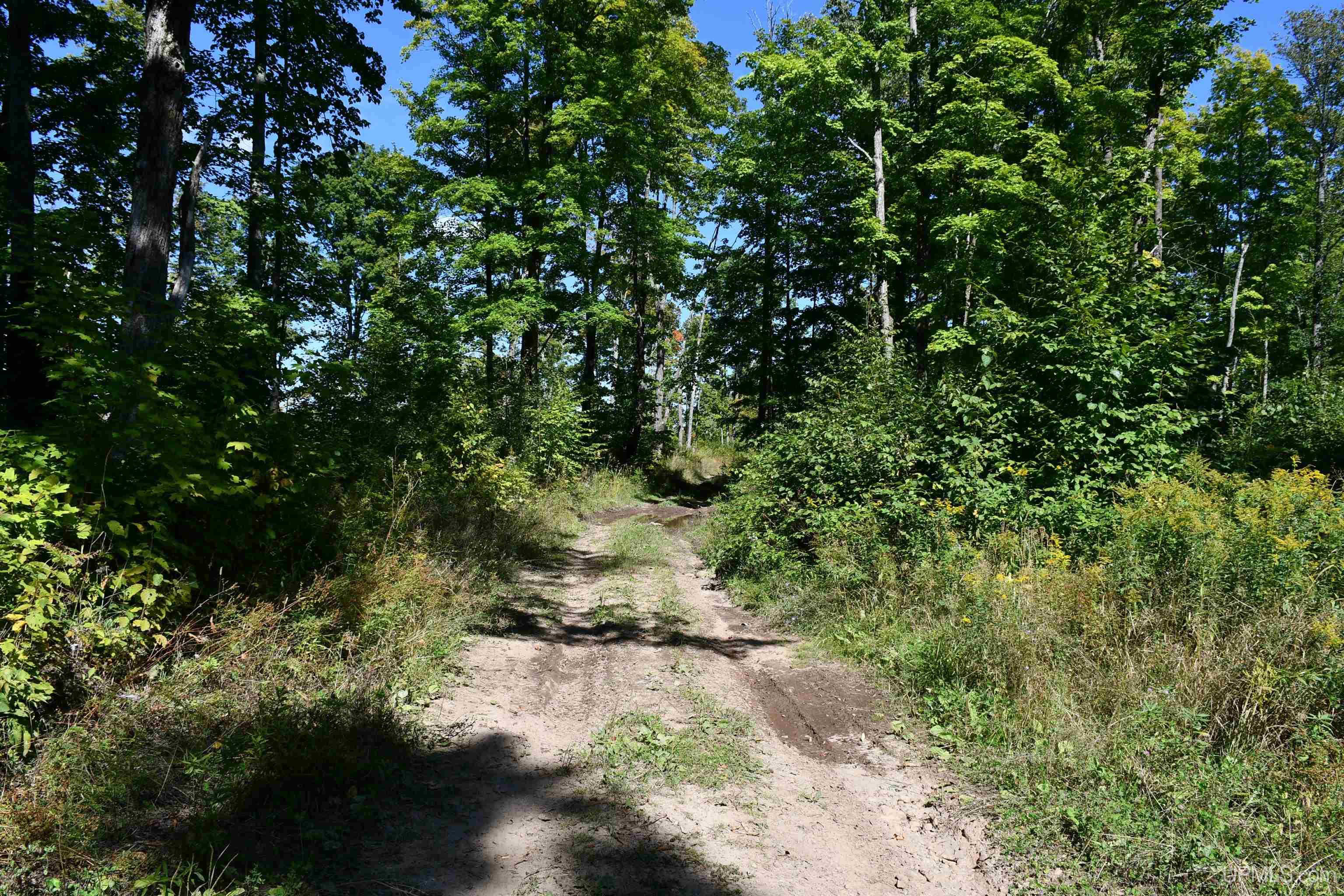 B3189 Off 426 County Road Negaunee, MI 49866 - Photo 15 of 16