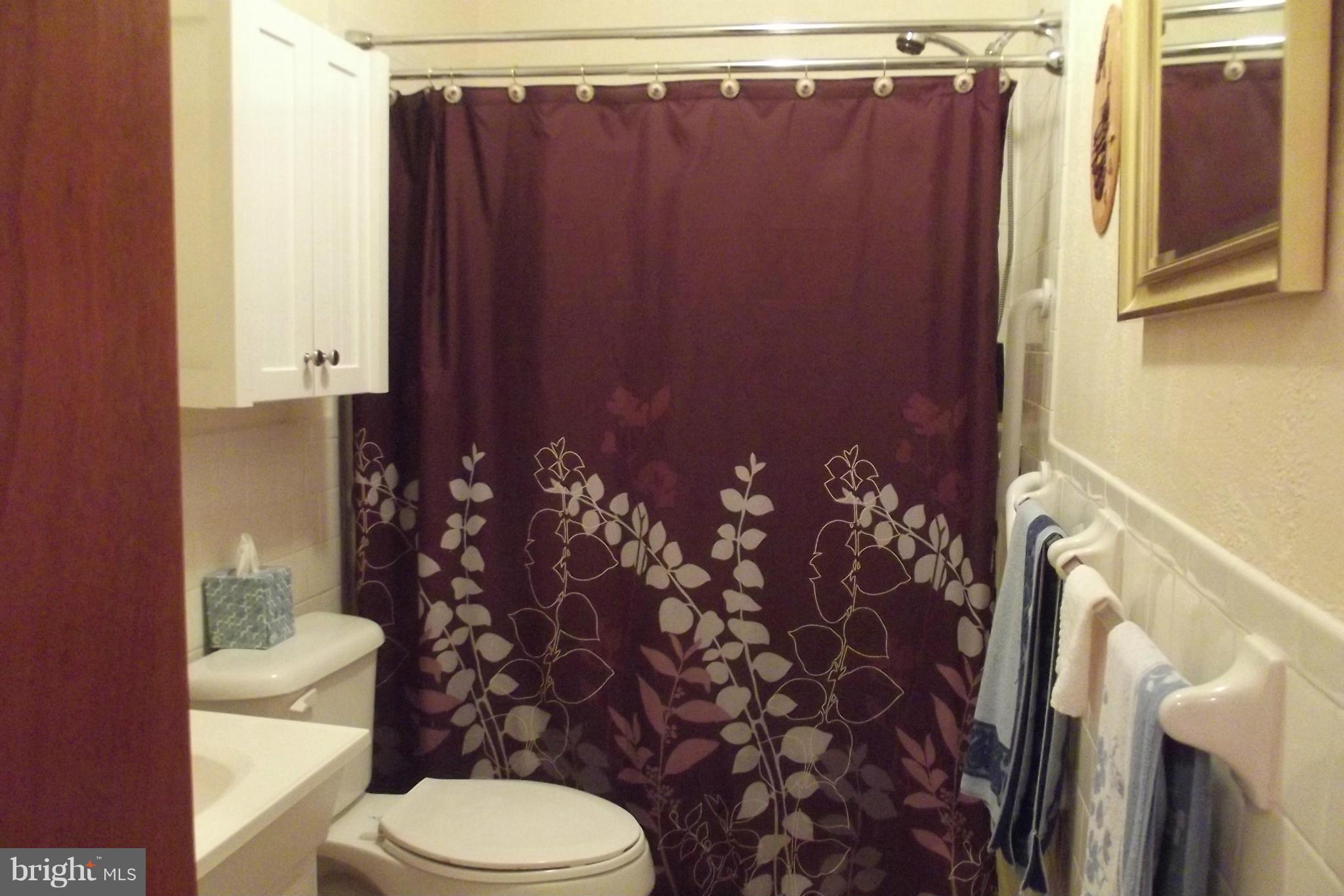 221 Rural Retreat Drive Ranson, WV 25438 - Photo 8 of 16 No tub walk in shower