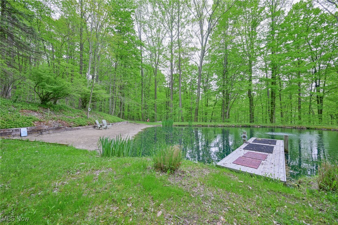 10951 Tibbetts Road Kirtland, OH 44094 - Photo 6 of 42 sand beach, floating dock on pond