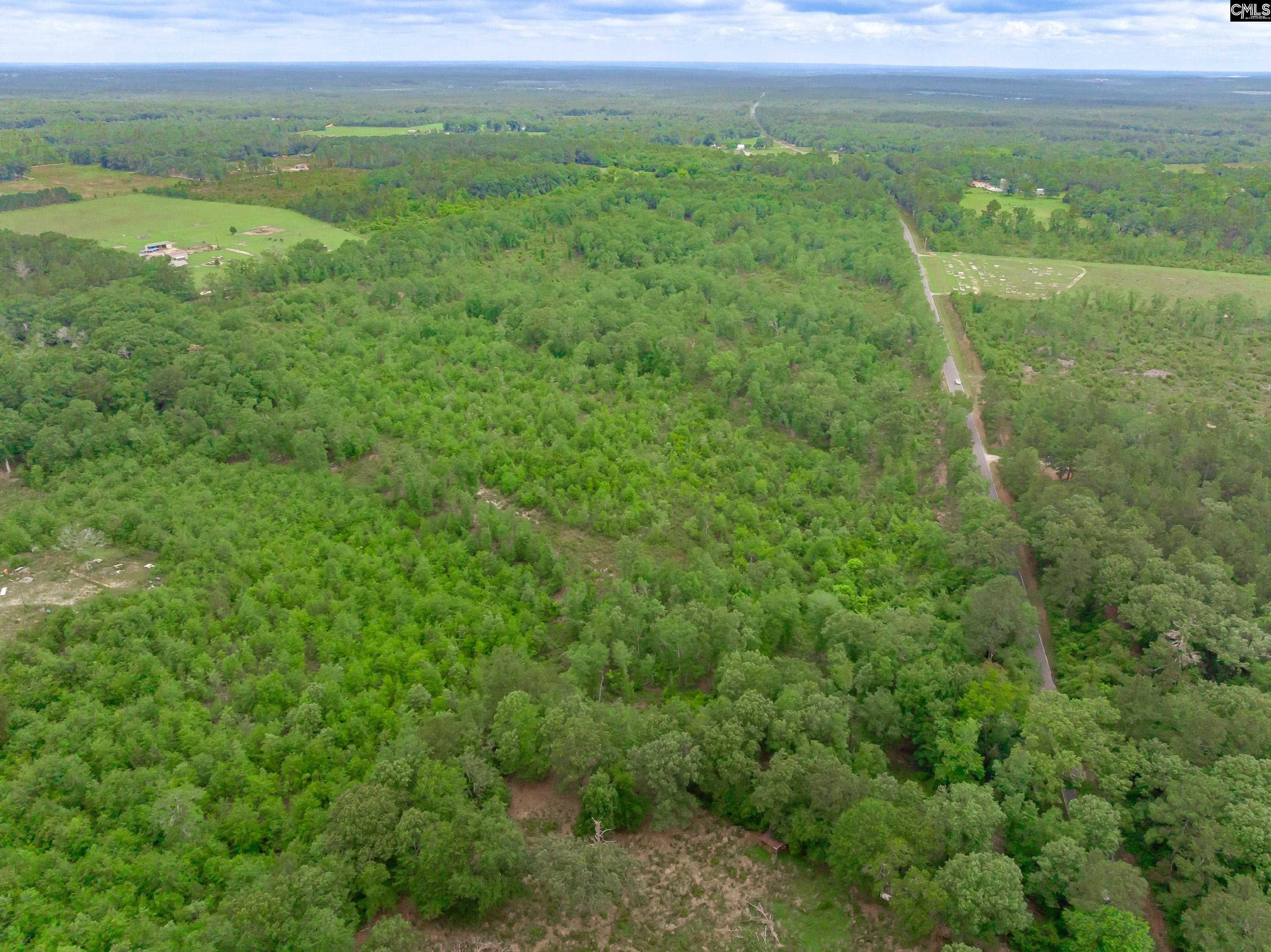 0 Seivern Road Wagener, SC 29164 - Photo 6 of 23
