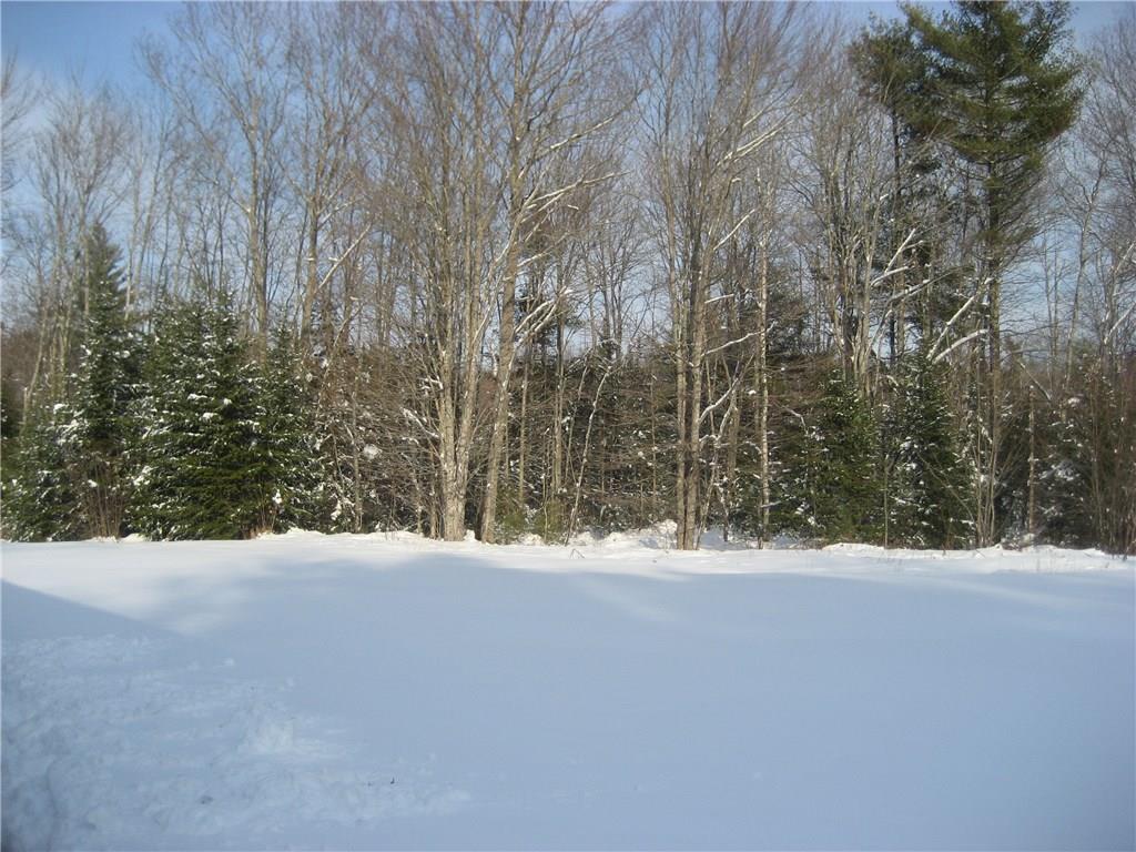 851 Feylers Corner Road Waldoboro, ME 04572 - Photo 20 of 26 Yard