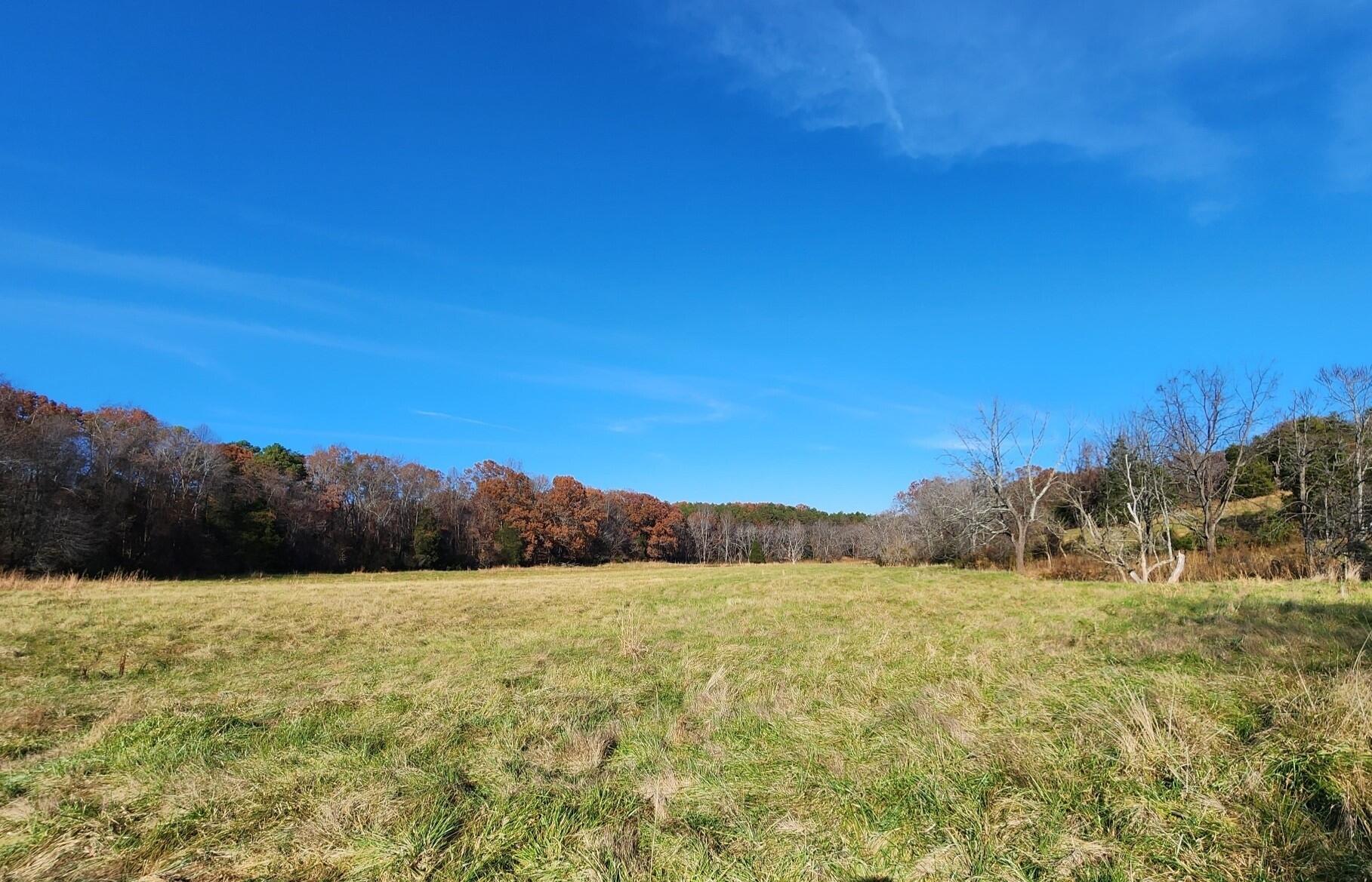 0 Patterson Mill Road Bedford, VA 24523 - Photo 3 of 12 lots of open land