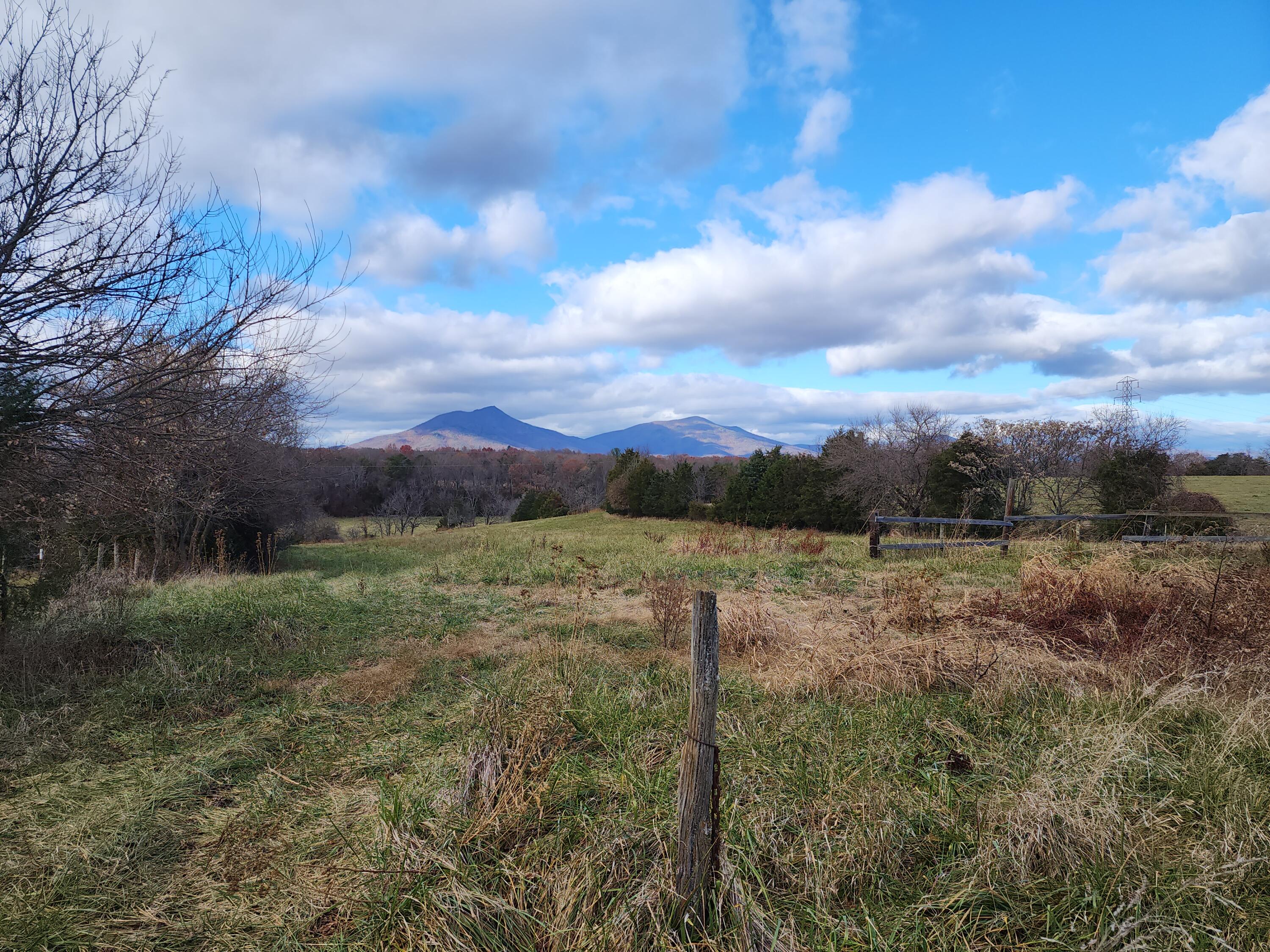 0 Patterson Mill Road Bedford, VA 24523 - Photo 6 of 12 Farm, hunt, play, live