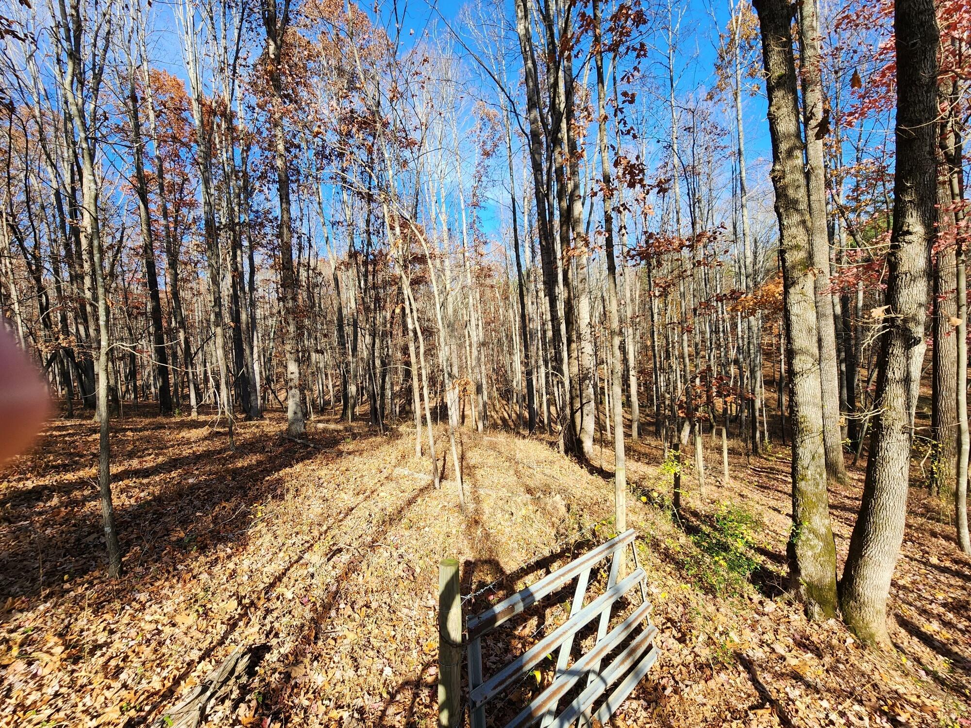 0 Patterson Mill Road Bedford, VA 24523 - Photo 8 of 12 some areas fenced