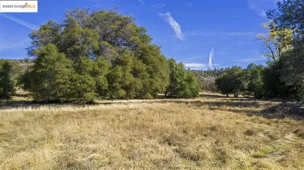 a view of a yard with an trees