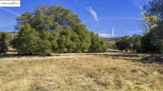 a view of a yard with an trees