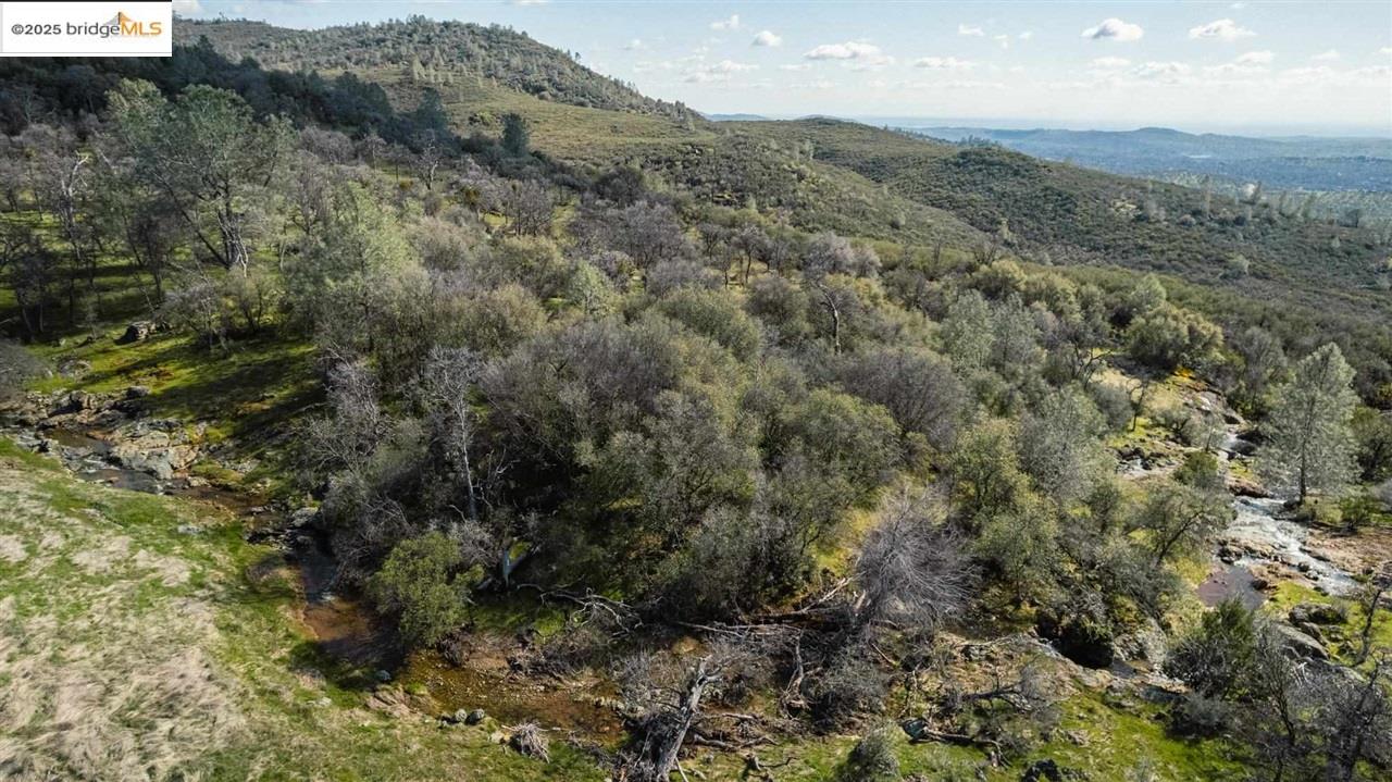 16275 Moccasin Ranch, Unit PARCEL 29 Turlock, CA 95382 - Photo 12 of 27 a view of a forest with a street