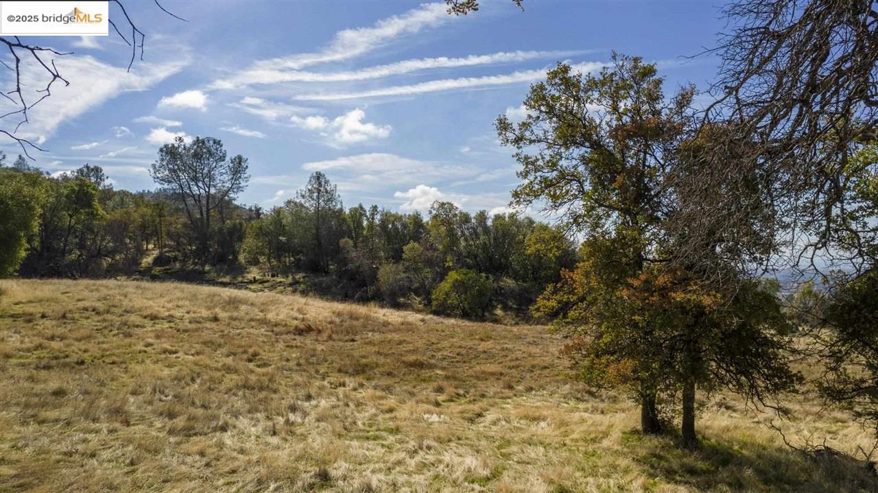16275 Moccasin Ranch, Unit PARCEL 29 Turlock, CA 95382 - Photo 14 of 27 a view of a yard with trees