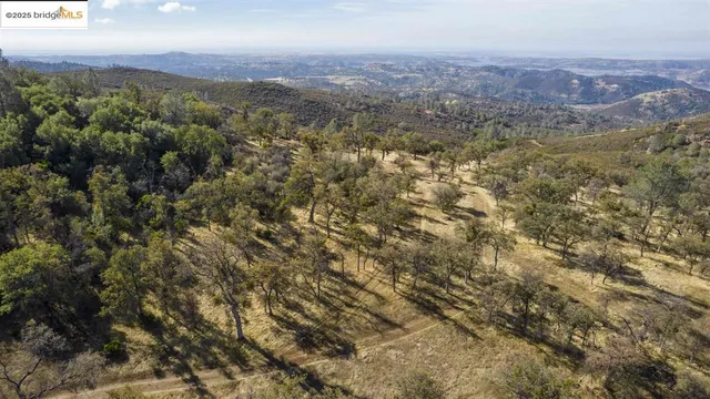 an aerial view of residential house and green space