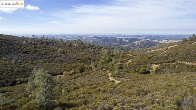an aerial view of houses covered in trees