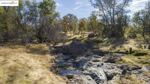 a view of a yard with a tree