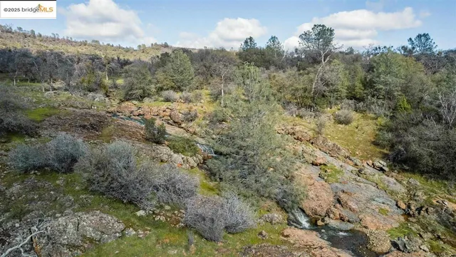 a view of a field with trees in background