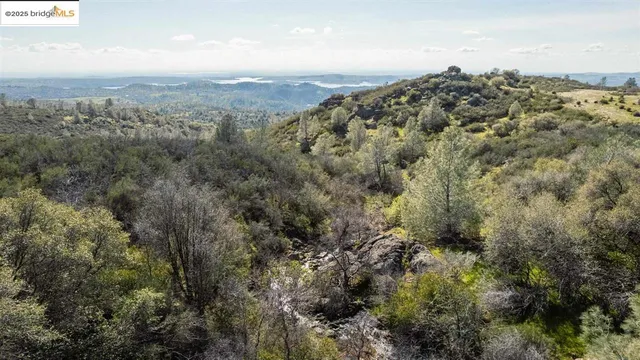 an aerial view of mountain with trees