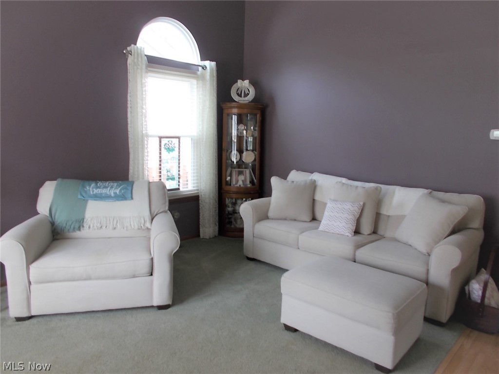 6065 Ridgeview Boulevard North Ridgeville, OH 44039 - Photo 2 of 15