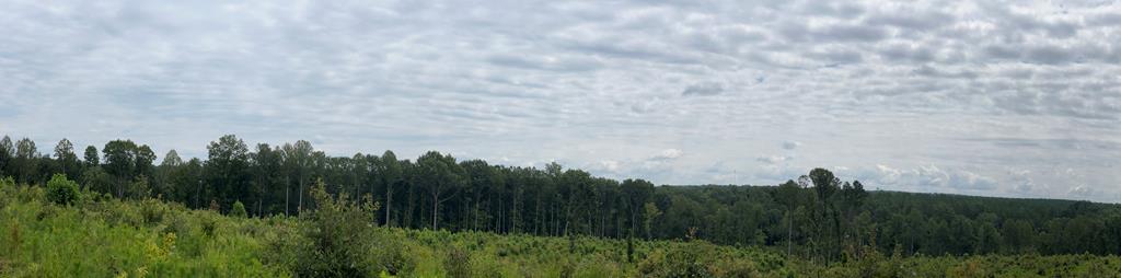 Fanny White Road, Unit 2 Buckingham, VA 23921 - Photo 7 of 10 Gallery Image 7