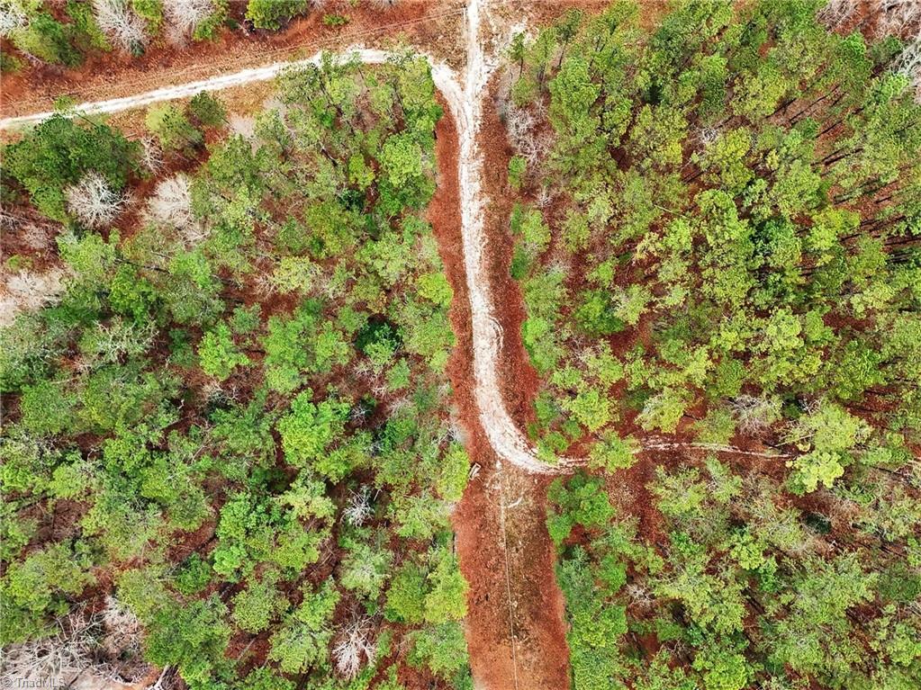 0 Brookside Road West End, NC 27376 - Photo 14 of 17
