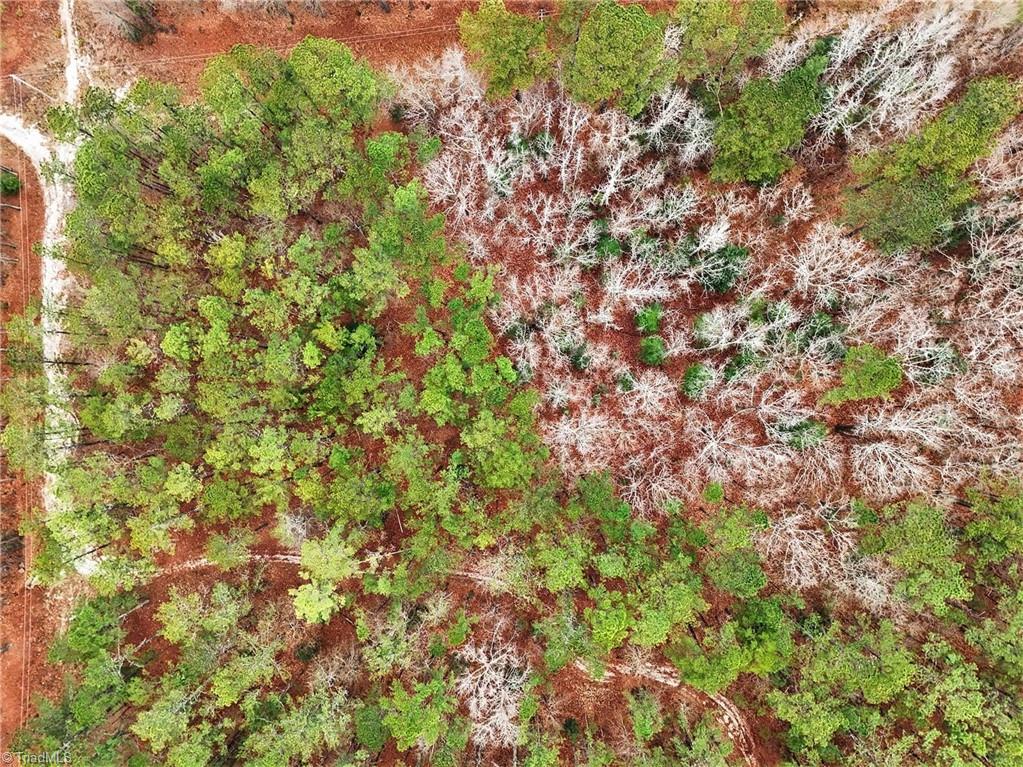 0 Brookside Road West End, NC 27376 - Photo 15 of 17