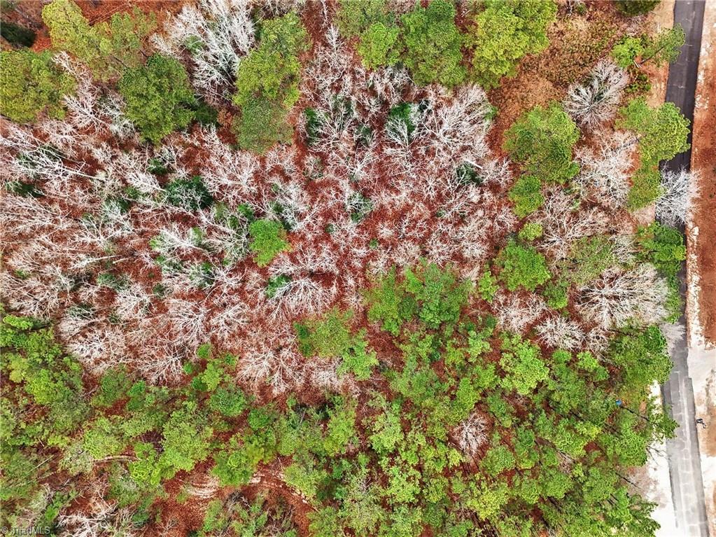 0 Brookside Road West End, NC 27376 - Photo 16 of 17
