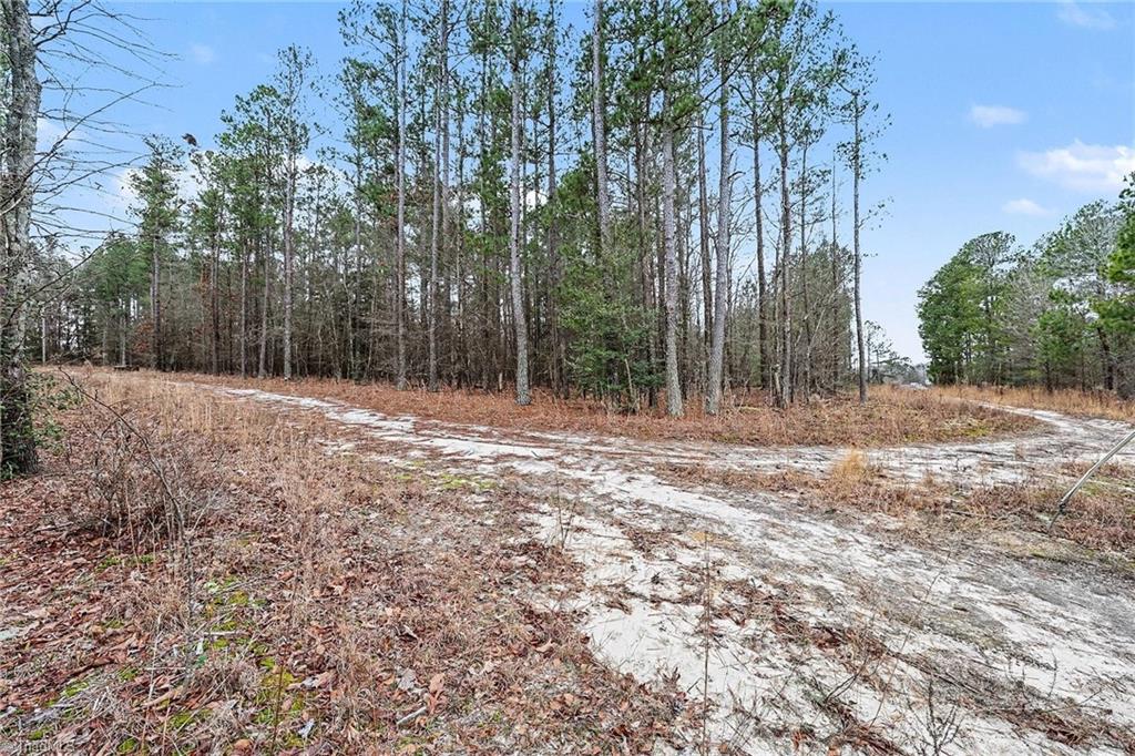 0 Brookside Road West End, NC 27376 - Photo 3 of 17