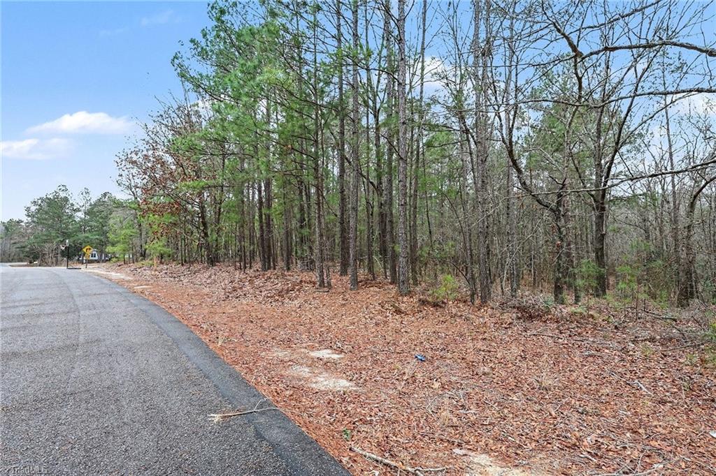 0 Brookside Road West End, NC 27376 - Photo 5 of 17