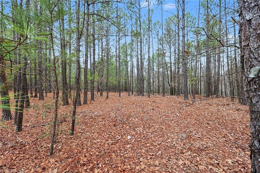 0 Brookside Road West End, NC 27376 - Photo 6 of 17
