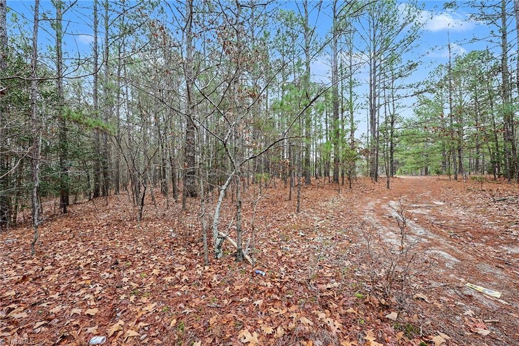 0 Brookside Road West End, NC 27376 - Photo 7 of 17