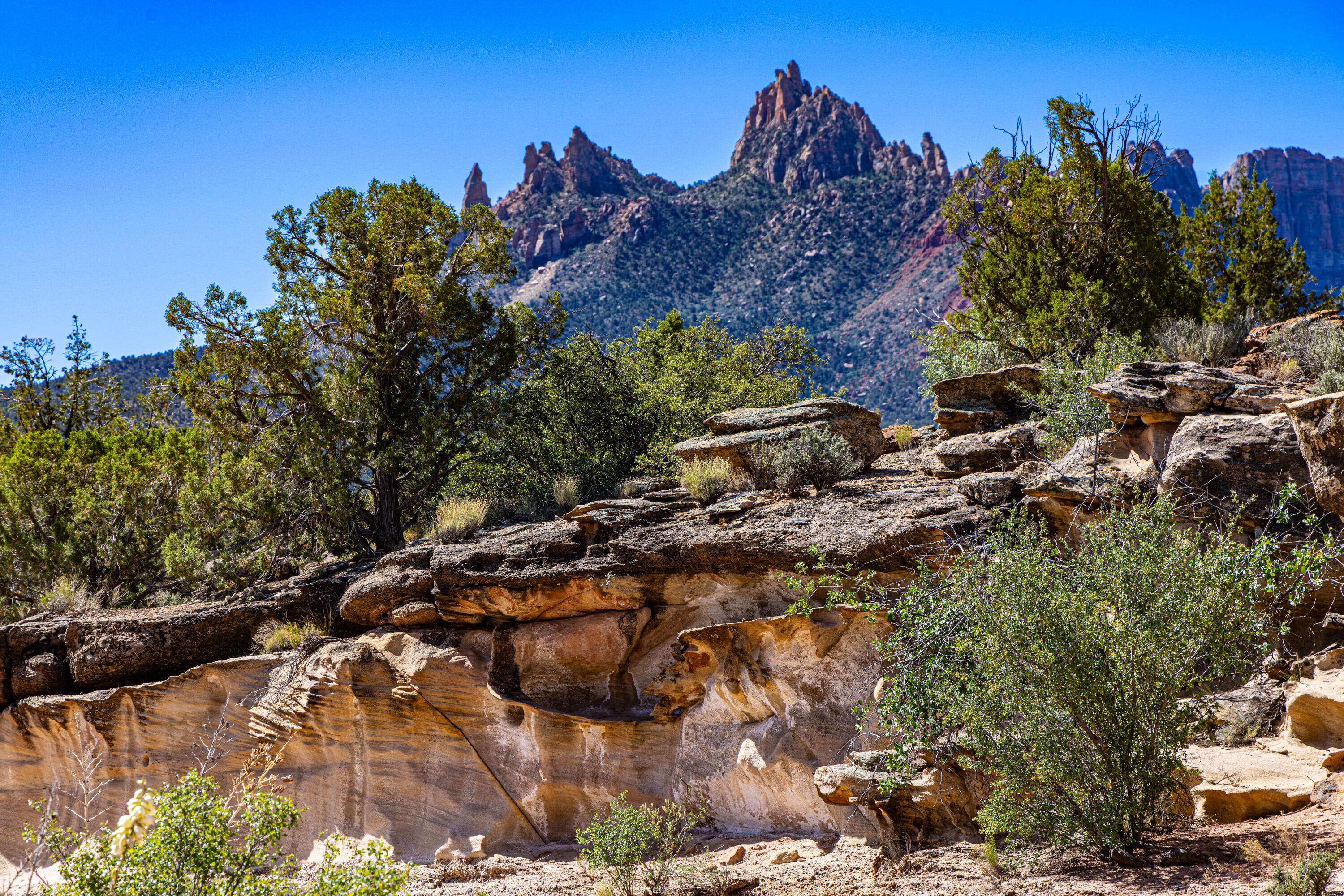 2495 Navajo Circle, Unit 69 Springdale, UT 84767 - Photo 16 of 44 14-Anasazi Plateau lot 69