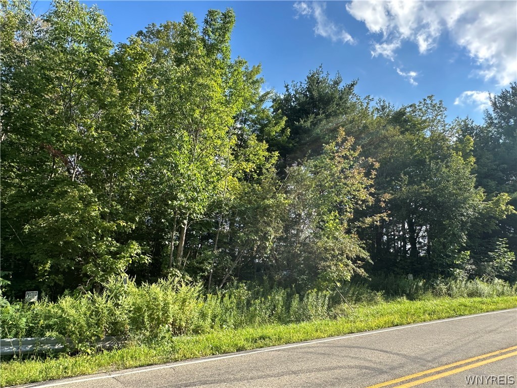 V/l Genesee Road Lawtons, NY 14091 - Photo 15 of 19 Gallery Image 15