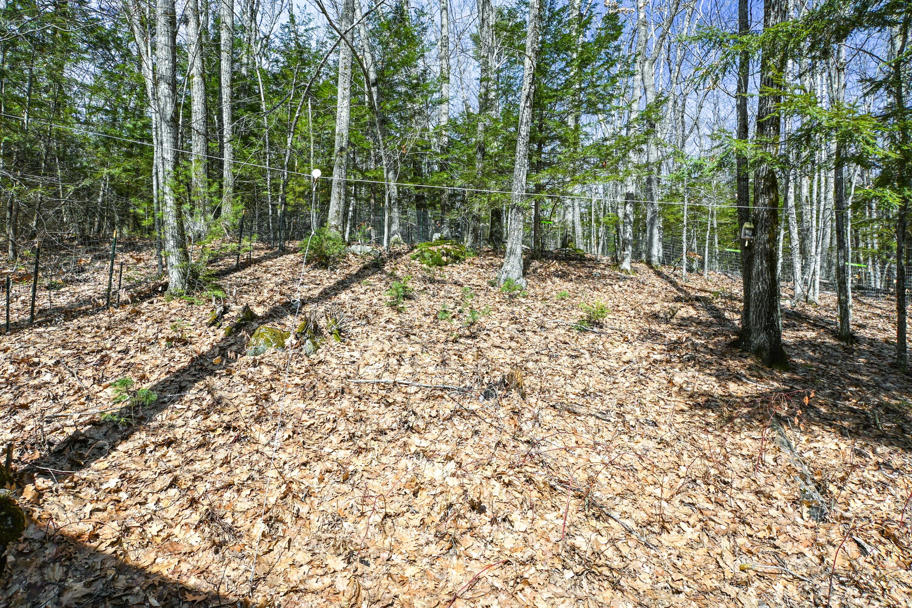 311 Milt Brown Road Standish, ME 04084 - Photo 60 of 75 311MiltBrownRd-68