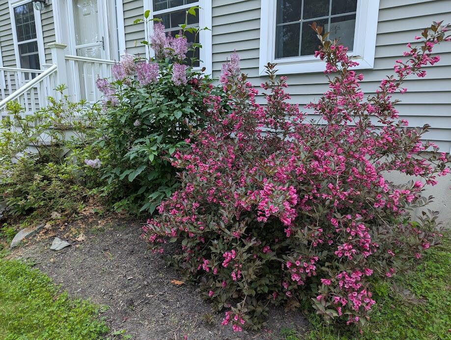 311 Milt Brown Road Standish, ME 04084 - Photo 67 of 75 F2