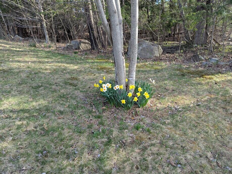 311 Milt Brown Road Standish, ME 04084 - Photo 75 of 75 f11