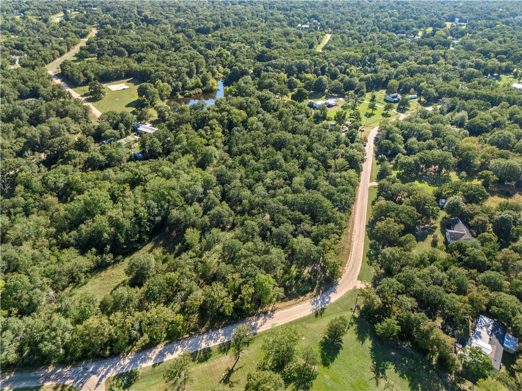 2 South Berry Ridge Caldwell, TX 77836 - Photo 3 of 16 Bird's eye view of a forest