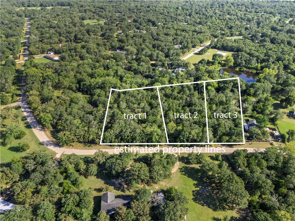 2 South Berry Ridge Caldwell, TX 77836 - Photo 6 of 16 View of property location featuring property parcel outlined and a heavily wooded area