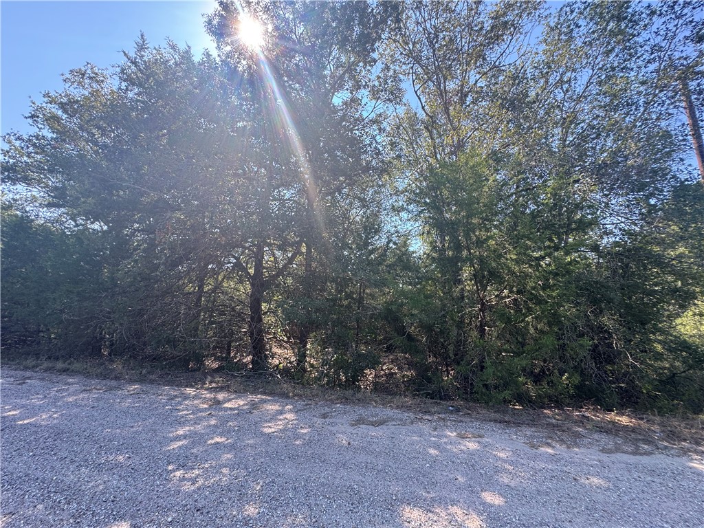 2 South Berry Ridge Caldwell, TX 77836 - Photo 10 of 16 View of yard