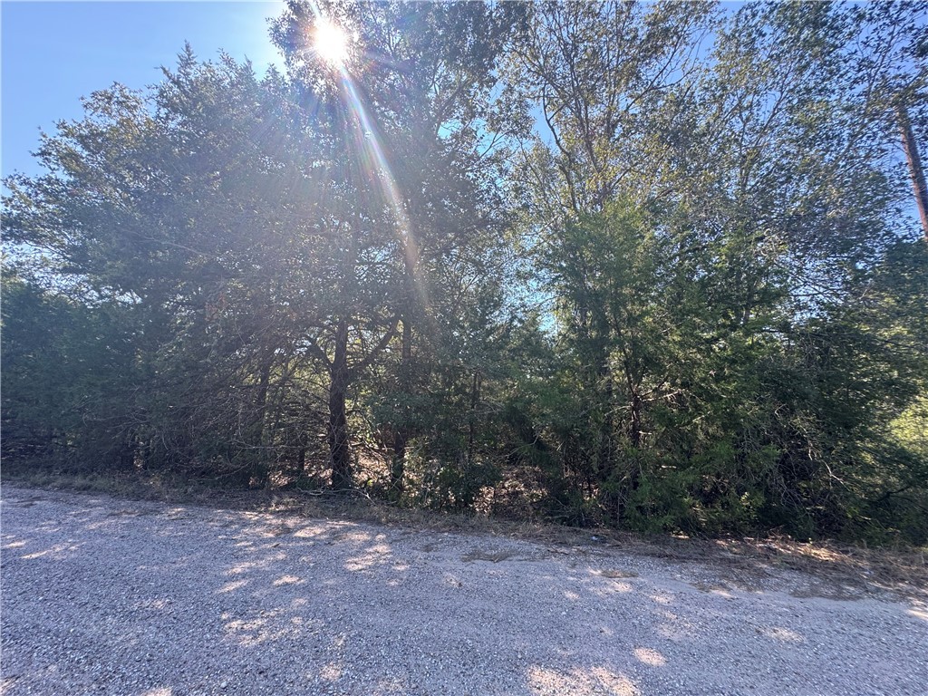 2 South Berry Caldwell, TX 77836 - Photo 10 of 14 a view of a forest with trees in the background