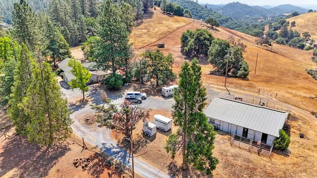 a view of a yard with large trees
