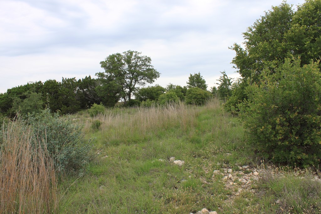 0 Oak Ridge Ranch Junction Junction, TX 76849 - Photo 17 of 19