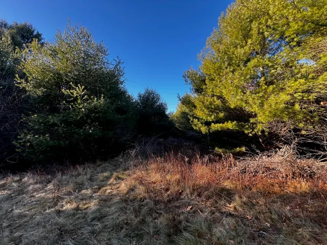 a view of swimming pool with a yard
