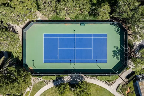 a view of a small garden